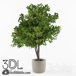 آبجکت گیاه plant 233