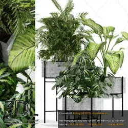 آبجکت گیاه plant 231