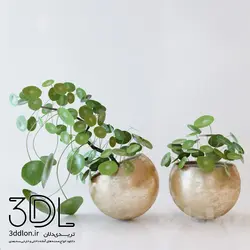 آبجکت گیاه plant 226