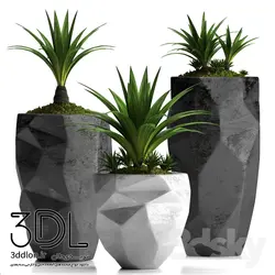 آبجکت گیاه plant 224