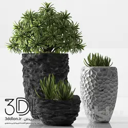 آبجکت گیاه plant 223