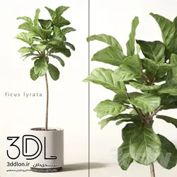 آبجکت گیاه plant 220