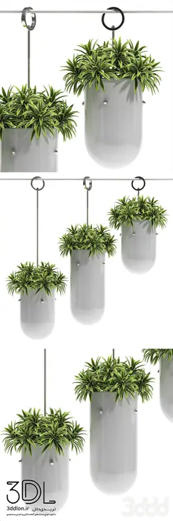 آبجکت گیاه plant 217