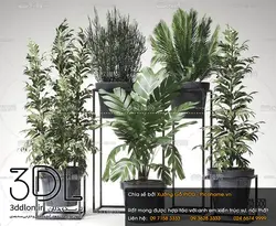 آبجکت گیاه plant 216