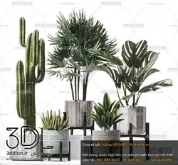 آبجکت گیاه plant 215