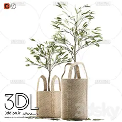 آبجکت گیاه plant 212