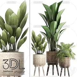 آبجکت گیاه plant 211