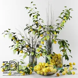 آبجکت گیاه plant 206