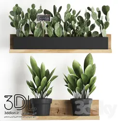 آبجکت گیاه plant 201