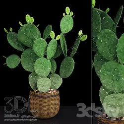 آبجکت گیاه plant 197