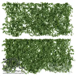 آبجکت گیاه plant 193