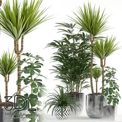 آبجکت گیاه plant 189