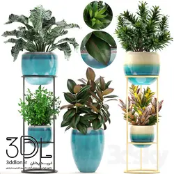 آبجکت گیاه plant 186