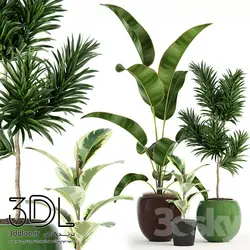 آبجکت گیاه plant 182