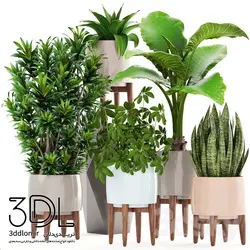 آبجکت گیاه plant 181