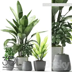 آبجکت گیاه plant 179