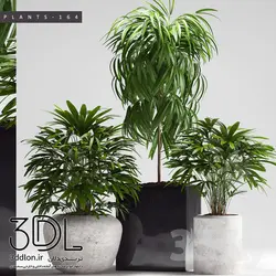 آبجکت گیاه plant 174