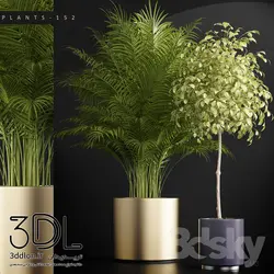 آبجکت گیاه plant 168