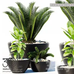 آبجکت گیاه plant 167