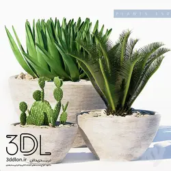 آبجکت گیاه plant 166
