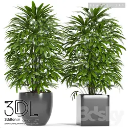 آبجکت گیاه plant 165