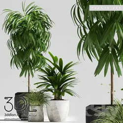 آبجکت گیاه plant 162