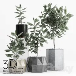 آبجکت گیاه plant 161