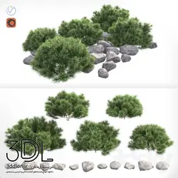 آبجکت گیاه plant 159