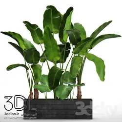 آبجکت گیاه plant 158