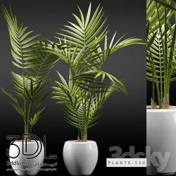 آبجکت گیاه plant 157