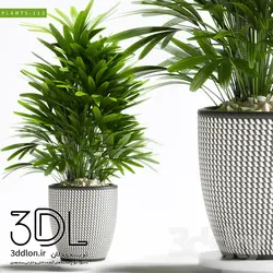 آبجکت گیاه plant 156