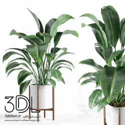 آبجکت گیاه plant 155