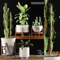 آبجکت گیاه plant 153