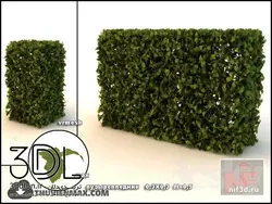 آبجکت گیاه plant 139