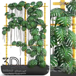 آبجکت گیاه 135 plant