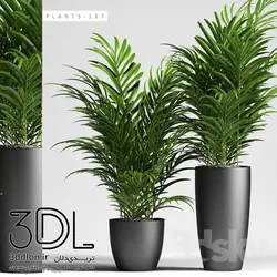 آبجکت گیاه 132 plant