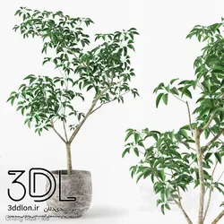 آبجکت گیاه 131 plant