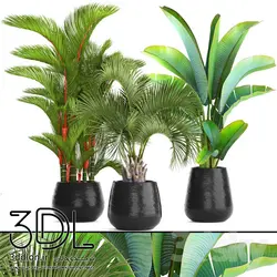 آبجکت گیاه 127 plant