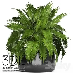 آبجکت گیاه 125 plant