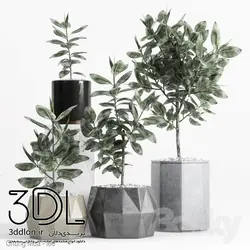 آبجکت گیاه 124 plant