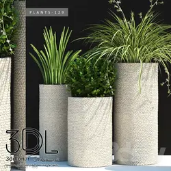 آبجکت گیاه 122 plant