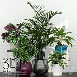 آبجکت گیاه 121 plant