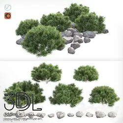 آبجکت گیاه 120 plant