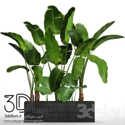 آبجکت گیاه 119 plant