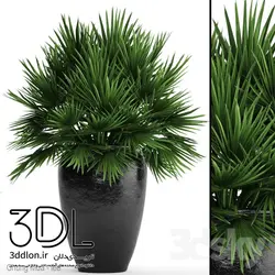 آبجکت گیاه 118 plant