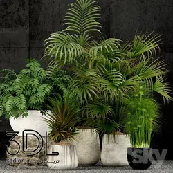 آبجکت گیاه 116 plant