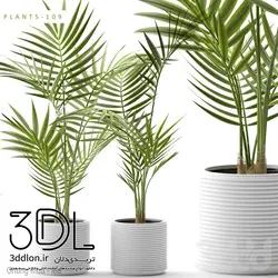 آبجکت گیاه 113 plant