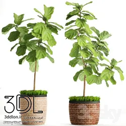 آبجکت گیاه 112 plant