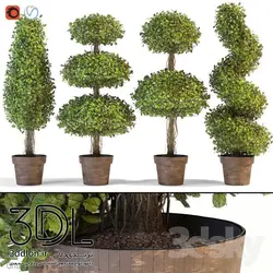 آبجکت گیاه 111 plant