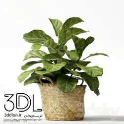 آبجکت گیاه 108 plant